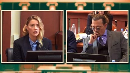 My Dog Stepped On a Bee  Full Clip