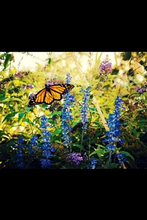 Bohol Philippinen, Landschaft