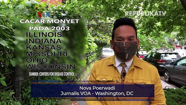 Seberapa Besar Ancaman Cacar Monyet?