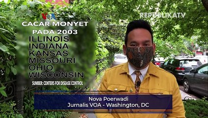 Seberapa Besar Ancaman Cacar Monyet?