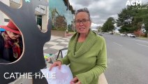 Cathie Hale discusses Bathurst's tree protection policy