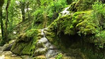 Slow TV Nature - Relaxing video: Cascade - Roquefort Les Cascades (Ariège)