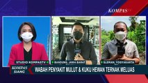 5 Ekor Sapi di Kota Bandung Positif Terjangkit Penyakit Mulut dan Kuku
