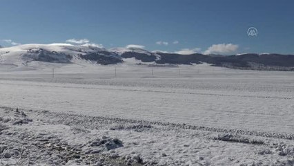 Kars baharda "kara kış"ı yaşıyor