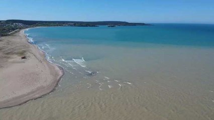 TBMM Çevre Komisyonu Başkanı Balta'dan müsilaj açıklaması