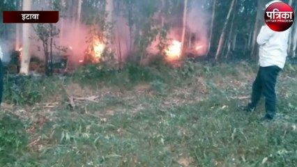 आग लगने से दो लाख मधुमक्खी जलकर राख, हुआ भारी नुकशान