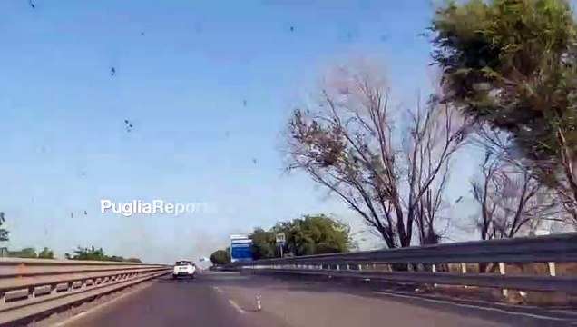 Incendio vicino alla Statale 16Bis, fumi sulla strada tra Foggia e BAT - VIDEO
