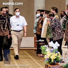 Luhut Urus Minyak Goreng, Demokrat: Siap-siap Jadi Menko Minyak Goreng