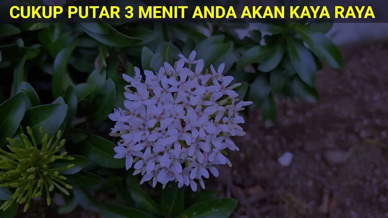 Baca Di Depan Pintu Surat Langit Ini, Uang Antri Masuk Rumahmu