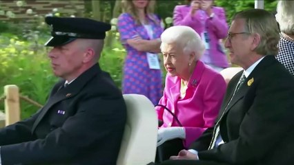 Queenmobile: The Queen uses custom electric buggy to tour Chelsea Flower Show after mobility issues