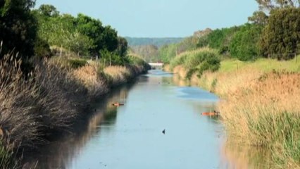 Dalle oasi del WWF parte il recupero degli habitat naturali