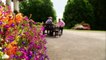 A Hidden Narnia World & More Incredible Garden Discoveries - Britain's Best Back Gardens Compilation