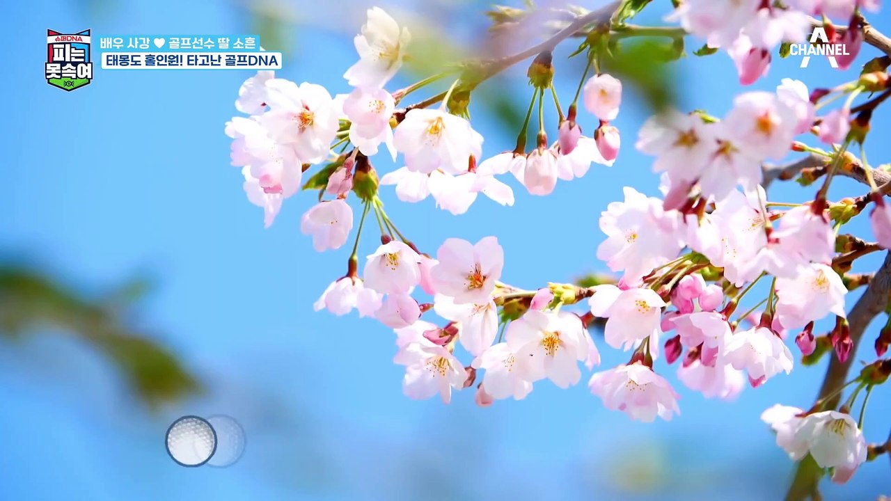 골프 키즈 소흔의 PAR3 대회 출전기! 사강의 딸 소흔의 실력은?