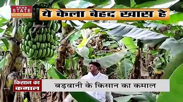 Madhya Pradesh News : Barwani के इस किसान ने केले की खेती के जरीये बनाई देश-विदेश में पहचान | Barwani News |