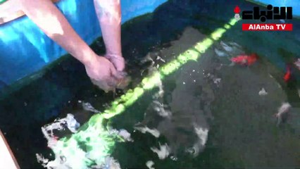 تايواني يخترع عربة متحركة لأسماكه