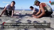 Caretta caretta yasağı: 3 sahile gece girmenin cezası 109 bin TL