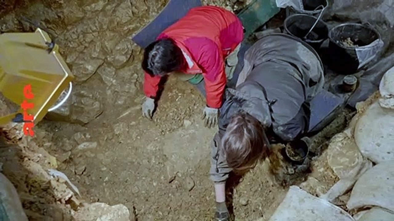 La Vénus de Willendorf, une icône de la Préhistoire - 28 mai