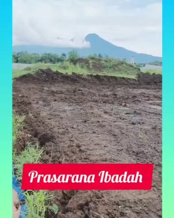 WhatsApp Video 2022-03-21 at 16.19.47