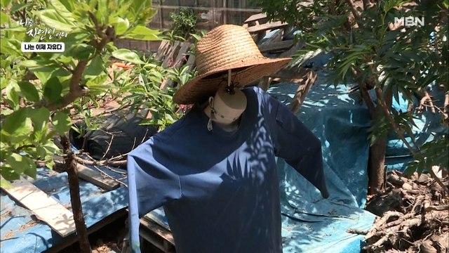 목 없는 사람 형체가 집 곳곳에...? 등골이 서늘한 자연인 하우스