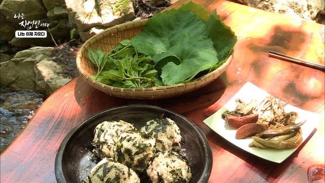 [자연 밥상] 자연인이 엄선한 봄의 맛! 각종 장아찌 넣어 만든 주먹밥♥