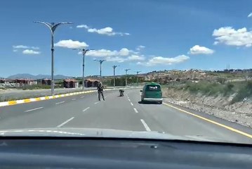 Elazığ'da polisin bir kaplumbağanın yolun karşısına geçmesine yardım etmesi kameraya yansıdı