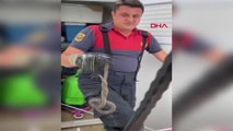 Evin deposuna giren yılanı itfaiye yakaladı