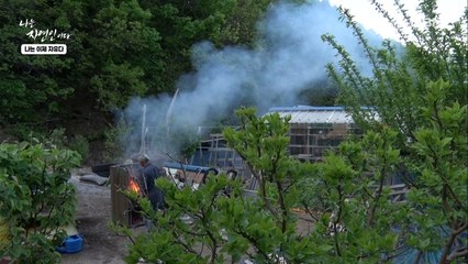 바람의 방향까지 계산하는 자연인의 완벽한 해충 방역법은?