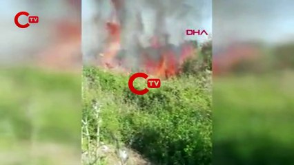 Temizlik işçisinin ihbarda bulunduğu meyve bahçesindeki yangın söndürüldü