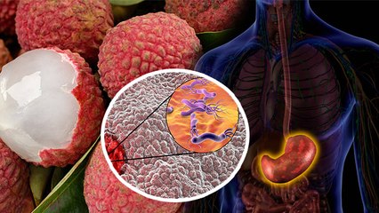 खाली पेट लीची खाना खतरनाक क्यों | खाली पेट लीची खाने के नुकसान | Boldsky