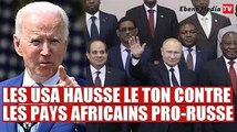 Les États-Unis s'en prennent aux pays africains pro russes