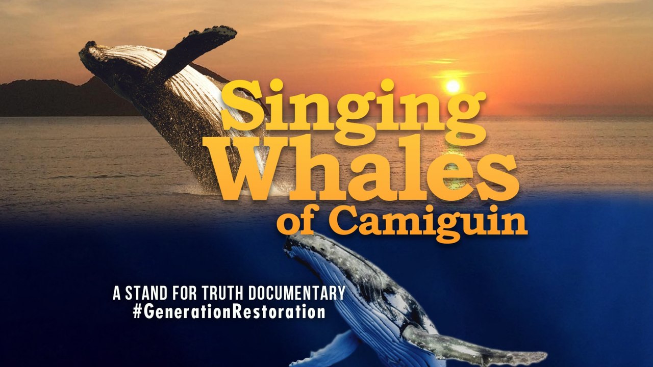 #GenerationRestoration: Singing Whales of Camiguin Norte | Stand for Truth