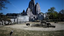Parc zoologique de Paris : appel aux dons pour 