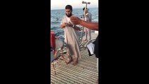 أسرة محمد الننى فى رحلة صيد على متن مركب بالغردقة