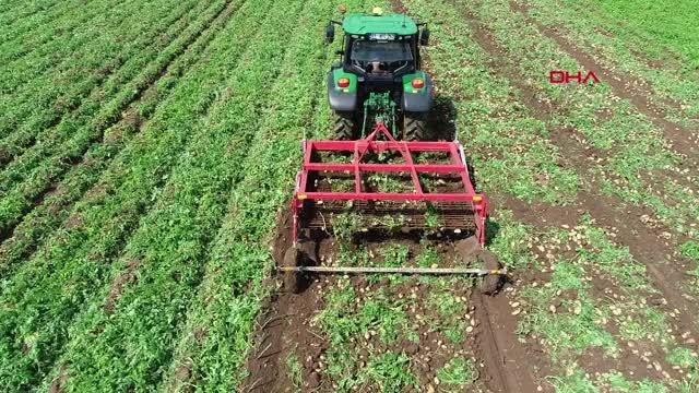 ÇUKUROVA'DA DON, PATATES VERİMİNİ DÜŞÜRDÜ