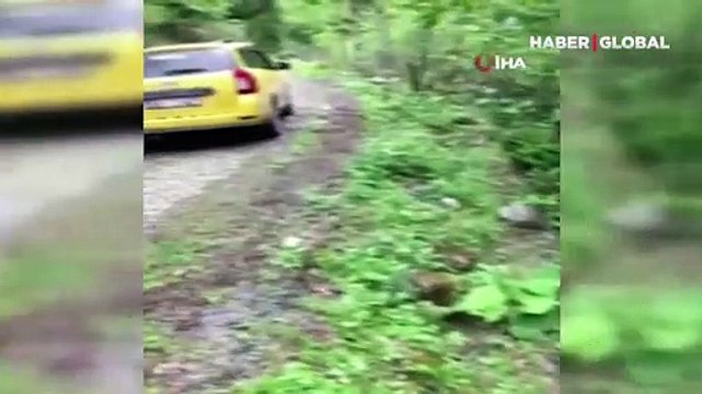 İzmir'in Çamlıhemşin ilçesinde dereye uçan otomobilin üzerine çıkan çift, kurtarılmayı bekledi