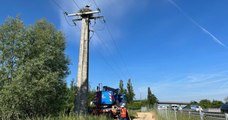 Isère : ils sécurisent une ligne de 2 000 volts pour protéger les cigognes des risques d'électrocution