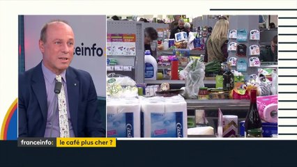 Alimentation : le prix du café en hausse de 8% à 10% cette année, selon Giuseppe Lavazza