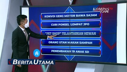 Telantarkan Anjing Hingga Mati, Pemilik Pet Shop Dilaporkan ke Polisi