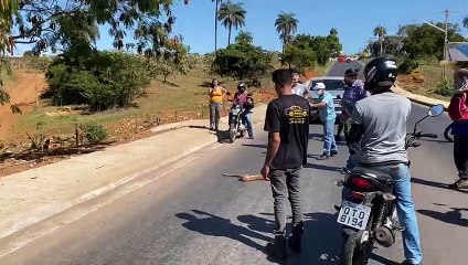 Jiboia para trânsito ao atravessar via de Luziânia, no Entorno do DF