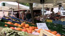 UE: Pesticidas mais perigosos nas frutas e vegetais frescos