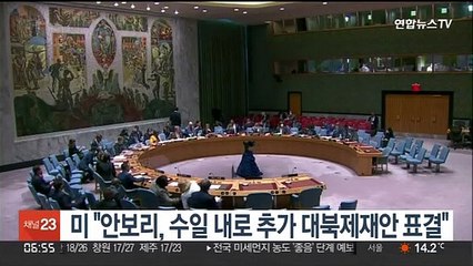 미 "유엔 안보리, 수일 내로 추가 대북제재안 표결"