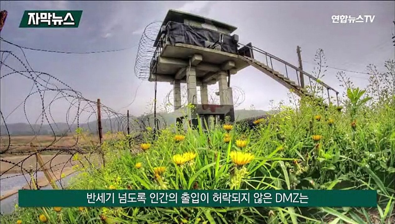 [자막뉴스] 경기도, 북한산성·DMZ 등 세계유산 등재 추진