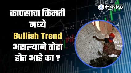 Cotton Rate | दक्षिणेतील सूत गिरण्यांची बंदची हाक ! | Cotton Bajarbhav | Sakal Media |