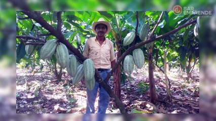 Carlos Sandoval, de La Chiapasteña: Confía en tu pasión y no sueltes tu sueño | Bar Emprende