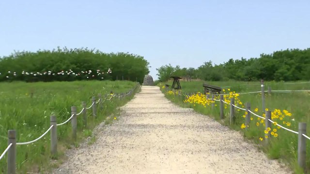 [날씨] 밤사이 경기·영서 비...내일 맑고 예년 봄 날씨 / YTN