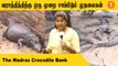 Steffi | உலகில் உள்ள மொத்த முதலை இனங்களில் பாதி சென்னையில் இருக்கு  |  Oneindia Tamil