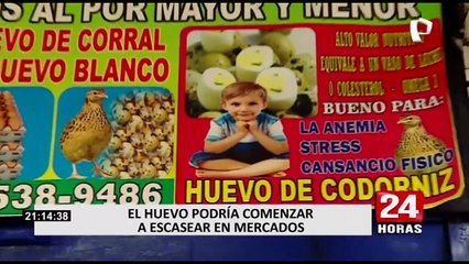 Precio del huevo podría superar los S/7.50 debido a posible escasez