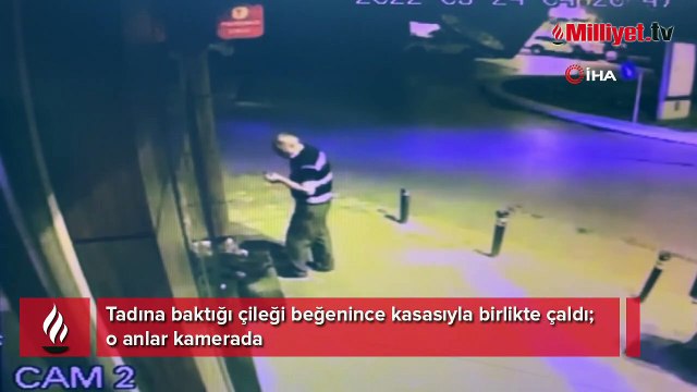 Tadına baktığı çileği beğenince kasasıyla birlikte çaldı