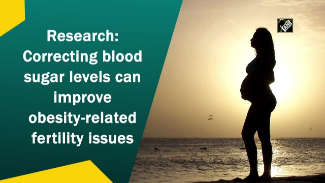 Research: Correcting blood sugar levels can improve obesity-related fertility issues