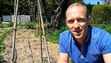 VIDÉO - "Capital" : comment Olivier Puech est devenu le prof de jardinage le plus populaire de Franc